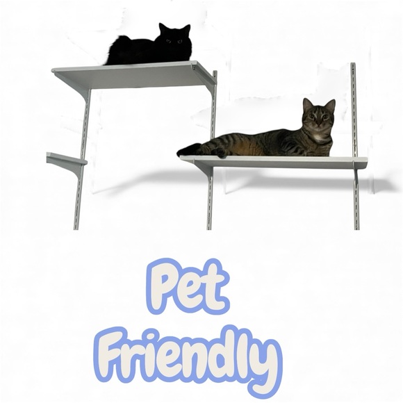 Lularoe silky Blouse - Picture 3 of 3